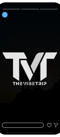 THE-VIBE-TRIP-PHONE.png